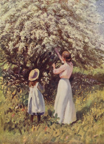 Maj Blossom af English School